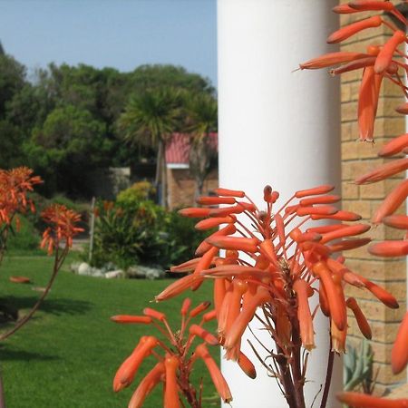 Nell'S B&B Kleinbaai ภายนอก รูปภาพ