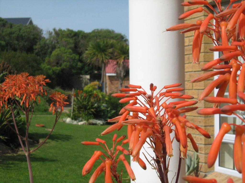 Nell'S B&B Kleinbaai ภายนอก รูปภาพ